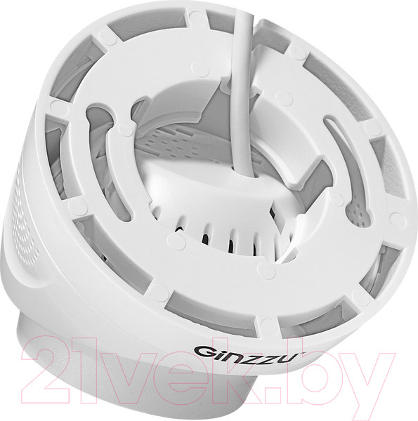 Изображение товара IP-камера Ginzzu HID-4301A