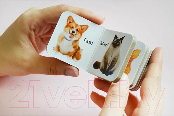 Изображение товара Набор развивающих книг Робинс Мир вокруг меня