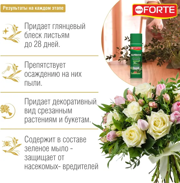 Изображение товара Средство защиты растений Bona Forte Блеск листьев BF33010021 (500мл)