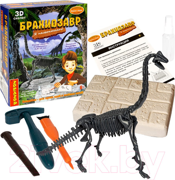 Изображение товара Набор для опытов Bondibon Исторические раскопки. Науки с Буки. Брахиозавр / ВВ5651