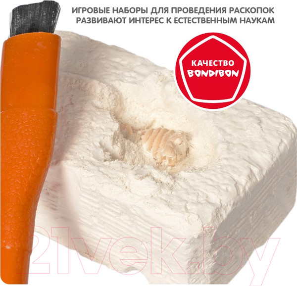 Изображение товара Набор для опытов Bondibon Исторические раскопки. Науки с Буки. Динозавры 3 в 1 / ВВ5684