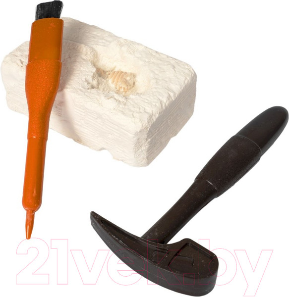 Изображение товара Набор для опытов Bondibon Исторические раскопки. Науки с Буки. Динозавры 3 в 1 / ВВ5684