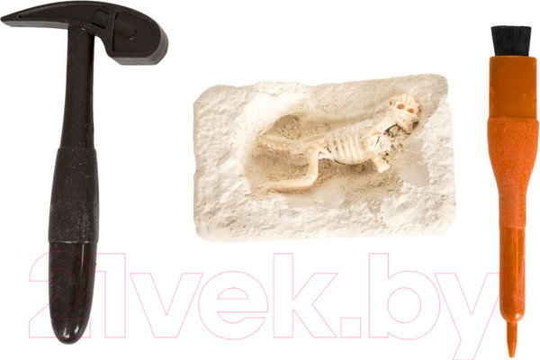 Изображение товара Набор для опытов Bondibon Исторические раскопки. Науки с Буки. Динозавры 3 в 1 / ВВ5684