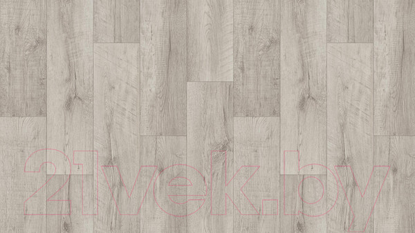 Изображение товара Линолеум Tarkett Club Arma 1 (3.5x5.5м)