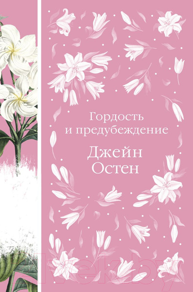 Изображение товара Книга Эксмо Гордость и предубеждение / 9785041617851 (Остен Дж.)