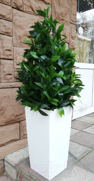 Изображение товара Искусственное растение ForGarden Лавр BN10595