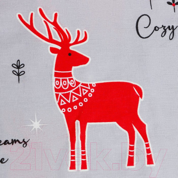 Изображение товара Комплект постельного белья Этель Cozy winter / 7986091