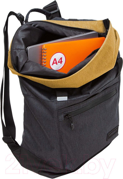 Изображение товара Рюкзак Grizzly RQL-315-1 (черный/песочный)