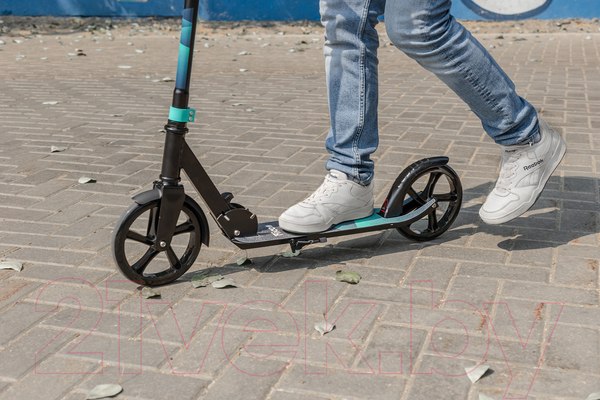 Изображение товара Самокат городской Ricos Impulse 200H (белый)