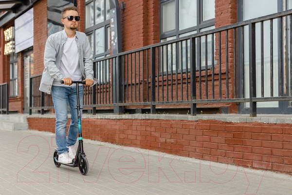 Изображение товара Самокат городской Ricos Impulse 200H (белый)