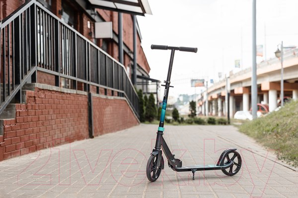 Изображение товара Самокат городской Ricos Impulse 200H (белый)