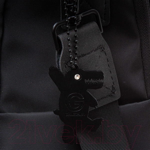 Изображение товара Рюкзак Grizzly RXL-329-1 (черный/синий)