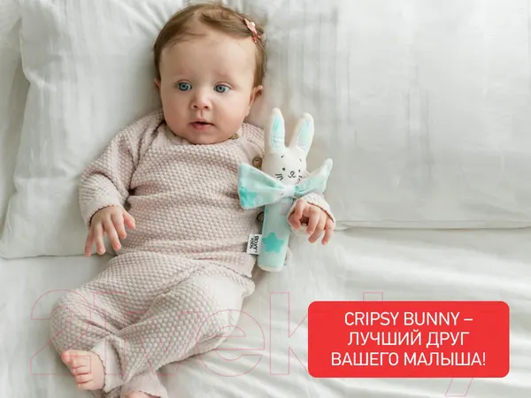 Изображение товара Развивающая игрушка ROXY-KIDS Crispy Bunny / RCRB-003-S (звезды)