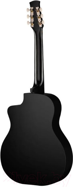 Изображение товара Акустическая гитара Ижевский завод Т.И.М. 42C-BK