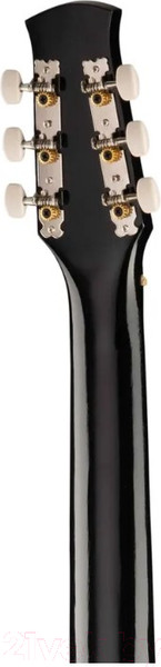 Изображение товара Акустическая гитара Ижевский завод Т.И.М. 42C-BK