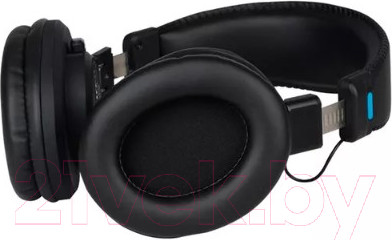 Изображение товара Наушники Alctron HE360