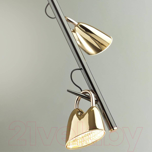 Изображение товара Люстра Odeon Light Malpa 5002/17L