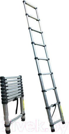 Изображение товара Телескопическая лестница КС ЛТ-1008-КС (70002)