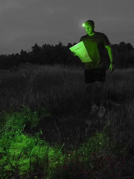 Изображение товара Фонарь Armytek Wizard C2 WG Magnet USB / F09201C (белый)