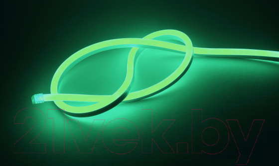 Изображение товара Светодиодная лента ЭРА N2835-120-IP67-220V-20m-G / Б0043076