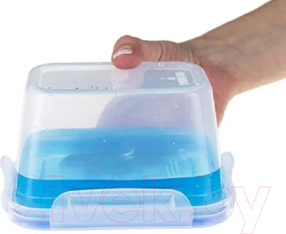 Изображение товара Контейнер Hitt H241014