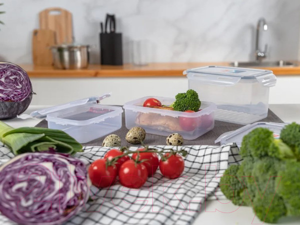 Изображение товара Контейнер Hitt H241014