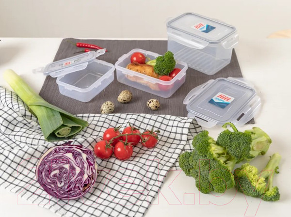 Изображение товара Контейнер Hitt H241014