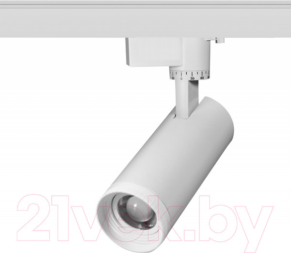 Изображение товара Трековый светильник ЭРА TR59-2030 WH / Б0054441