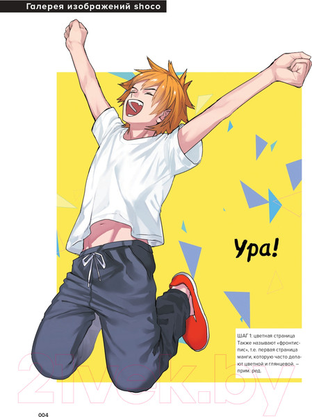 Изображение товара Книга Бомбора Action-манга. Полный курс для начинающих (Сава М., Shoco)