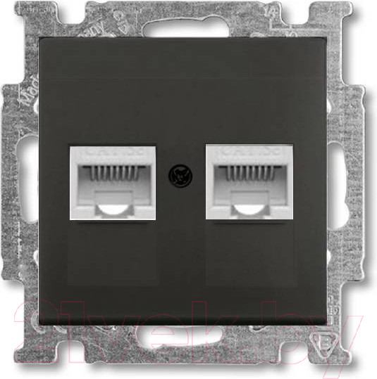 Изображение товара Розетка ABB Basic 55 / 13210405-02.41-05.01-01.00 (шато-черный, лицевая панель)