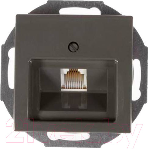 Изображение товара Розетка ABB Basic 55 / 13010404-05.38-01.01-01.00 (шато-черный, лицевая панель)