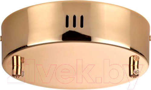 Изображение товара Потолочная база для светильника Odeon Light Vekia 5015/2R