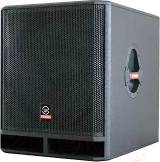 Изображение товара Сценический монитор Leem NWX-18B