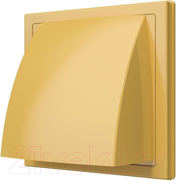 Изображение товара Решетка вентиляционная ERA С выходом 1515К10ФВ (бежевый)