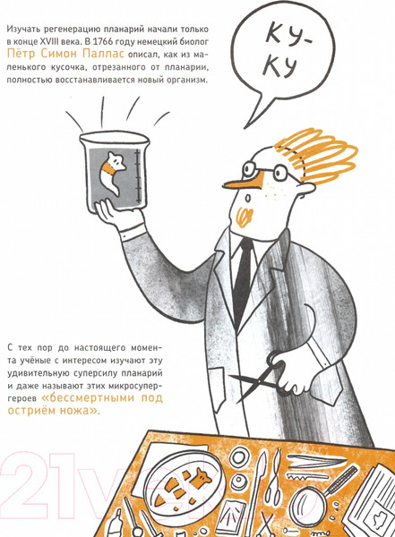 Изображение товара Энциклопедия Издательство Самокат Микросупергерои. Самые самовосстанавливающиеся! (Посух О.)