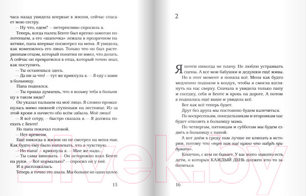 Изображение товара Книга Издательство Самокат Гипс (Вольтц А.)