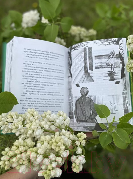 Изображение товара Книга Издательство Самокат Приключения Камо (Пеенак Д.)