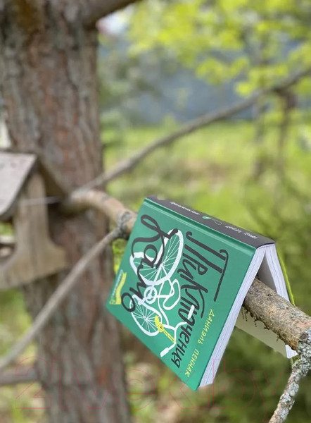 Изображение товара Книга Издательство Самокат Приключения Камо (Пеенак Д.)