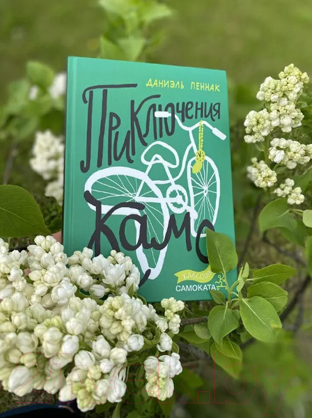 Изображение товара Книга Издательство Самокат Приключения Камо (Пеенак Д.)