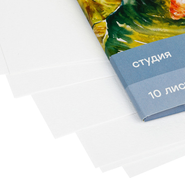 Изображение товара Набор бумаги для рисования ГАММА Студия / 40C03F710W (10л)
