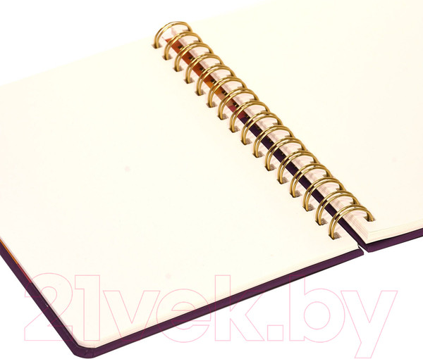 Изображение товара Скетчбук Lorex Curly Gradient Touch / LXSBCA5-GT (60л)