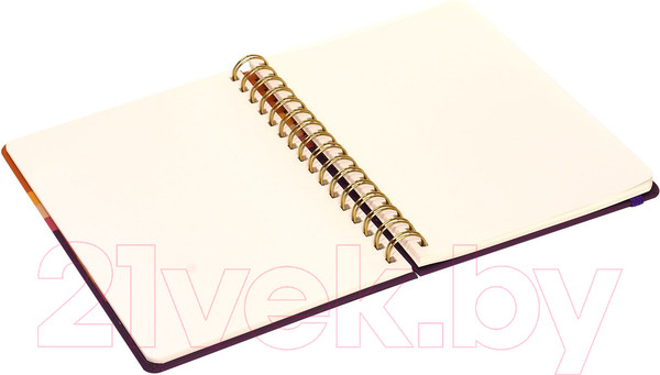 Изображение товара Скетчбук Lorex Curly Gradient Touch / LXSBCA5-GT (60л)