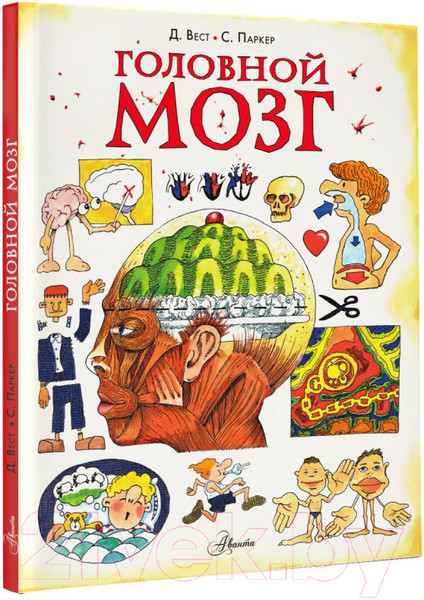 Изображение товара Энциклопедия АСТ Головной мозг (Паркер С.)