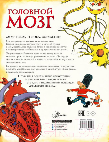 Изображение товара Энциклопедия АСТ Головной мозг (Паркер С.)