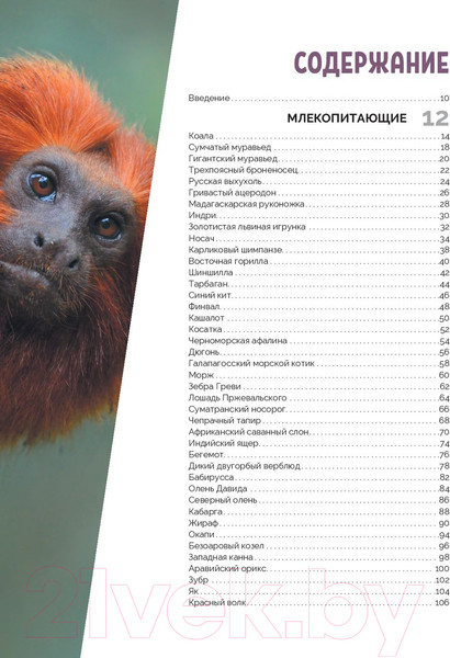 Изображение товара Энциклопедия Эксмо Красная книга мира (Лукашанец Д., Лукашанец Е.)