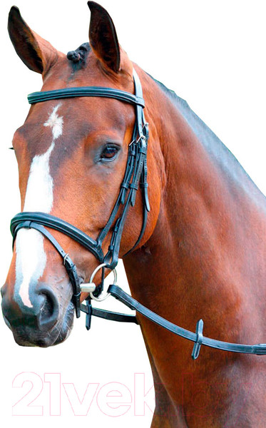 Изображение товара Оголовье для лошади Shires Melton PONY / V442/BLACK/PONY (черный)