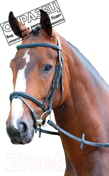 Изображение товара Оголовье для лошади Shires Melton PONY / V442/HAVANA/PONY (коричневый)