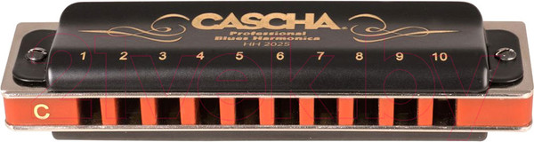 Изображение товара Губная гармошка Cascha Professional Blues C / HH-2025