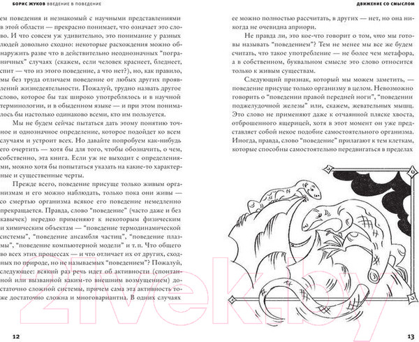 Изображение товара Книга АСТ Введение в поведение (Жуков Б.Б.)