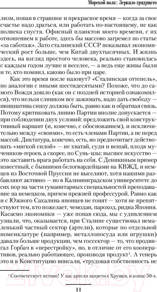 Изображение товара Книга АСТ Зеркало Грядущего (Савин В.)